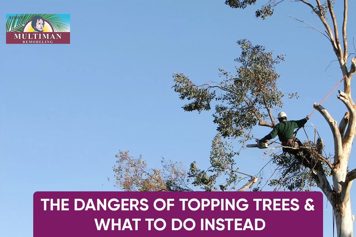 The Dangers of Topping Trees & What to Do Instead